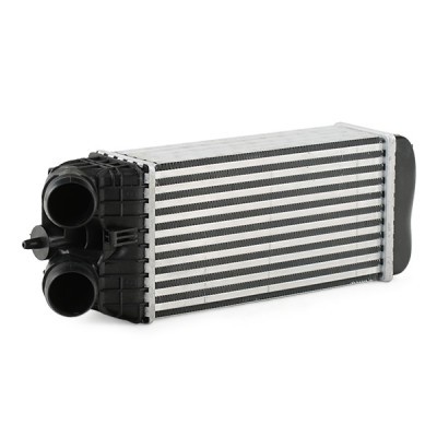 Intercooler, Charger RIDEX 468I0135 468I0135 - photo 3
