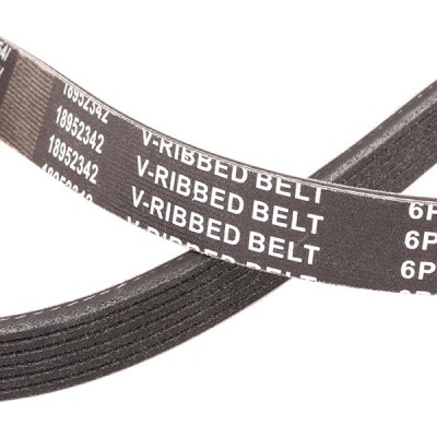 V-Ribbed Belt RIDEX 305P0165P 305P0165P - photo 5
