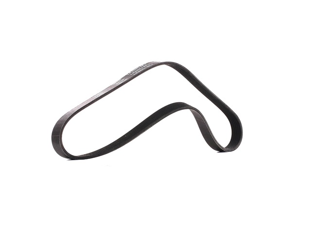 V-Ribbed Belt RIDEX 305P0052P 305P0052P - photo 1