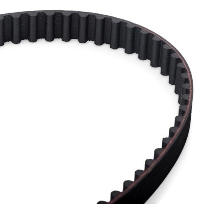 Timing Belt RIDEX 306T0024 306T0024 - photo 3