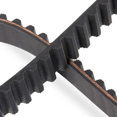 Timing Belt RIDEX 306T0042P 306T0042P - photo 5