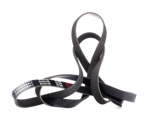 V-Ribbed Belt RIDEX 305P0162 305P0162 - photo 1