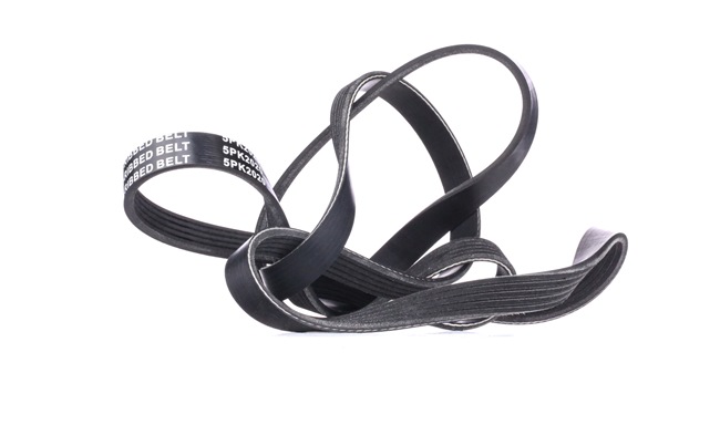 V-Ribbed Belt RIDEX 305P0455 305P0455 - photo 1