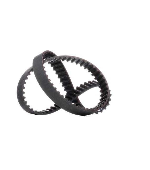 Timing Belt RIDEX 306T0101 306T0101 - photo 1