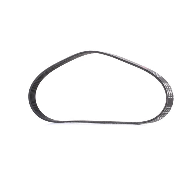 V-Ribbed Belt RIDEX 305P0049P 305P0049P - photo 1