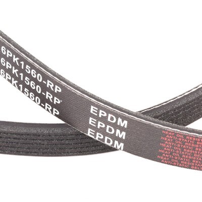 V-Ribbed Belt RIDEX 305P0074P 305P0074P - photo 5