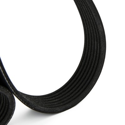 V-Ribbed Belt RIDEX 305P0443 305P0443 - photo 3