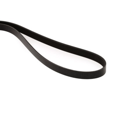 V-Ribbed Belt RIDEX 305B0286 305B0286 - photo 4