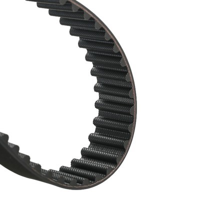 Timing Belt RIDEX 306T0174 306T0174 - photo 4
