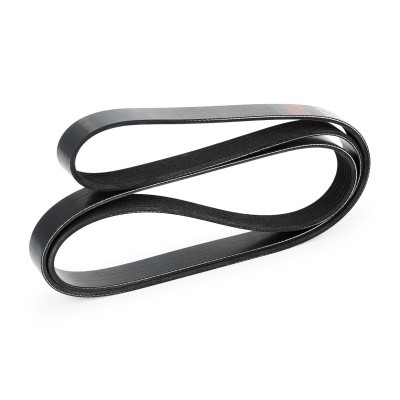 V-Ribbed Belt RIDEX 305P0106 305P0106 - photo 4