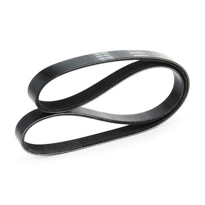 V-Ribbed Belt RIDEX 305P0031 305P0031 - photo 4