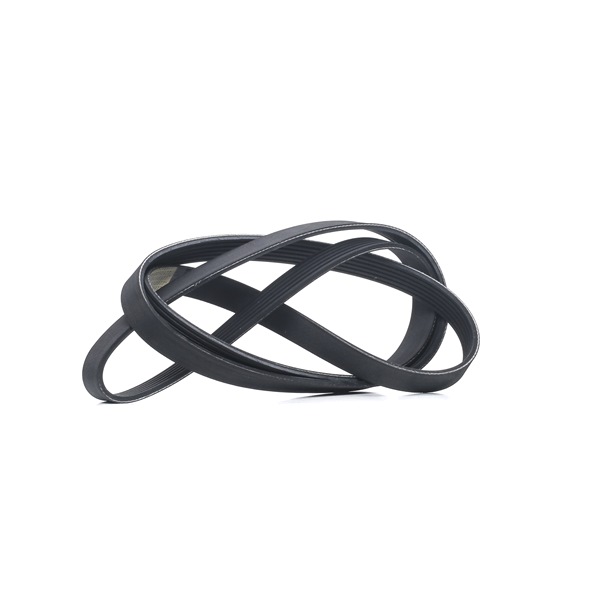 V-Ribbed Belt RIDEX 305P0208 305P0208 - photo 1