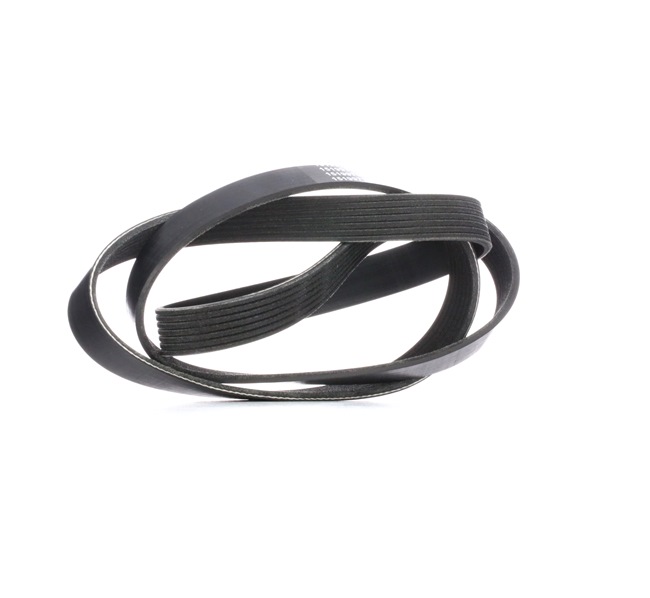 V-Ribbed Belt RIDEX 305P0307 305P0307 - photo 1