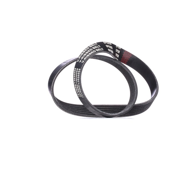 V-Ribbed Belt RIDEX 305P0317 305P0317 - photo 1