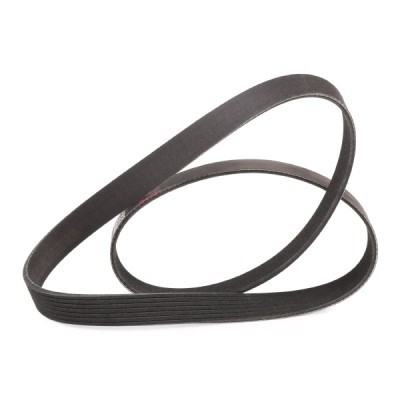 V-Ribbed Belt RIDEX 305P0232P 305P0232P - photo 3