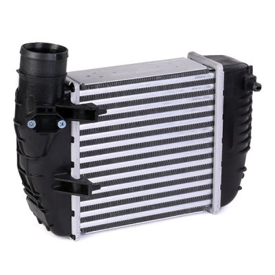 Intercooler, Charger RIDEX 468I0038 468I0038 - photo 4