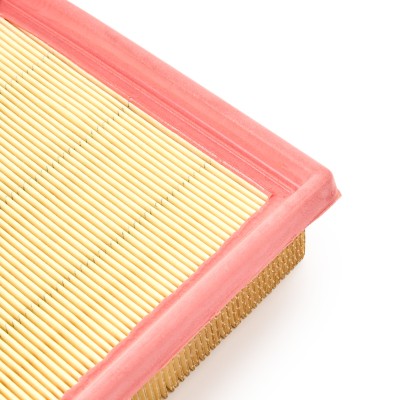 Air Filter RIDEX 8A0339 8A0339 - photo 9