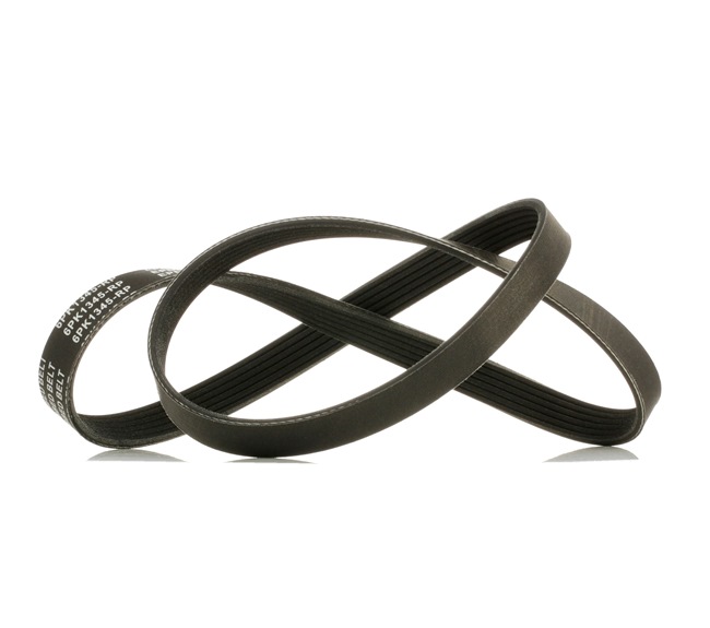 V-Ribbed Belt RIDEX 305P0584P 305P0584P - photo 1