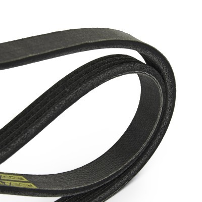 V-Ribbed Belt RIDEX 305P0008P 305P0008P - photo 5