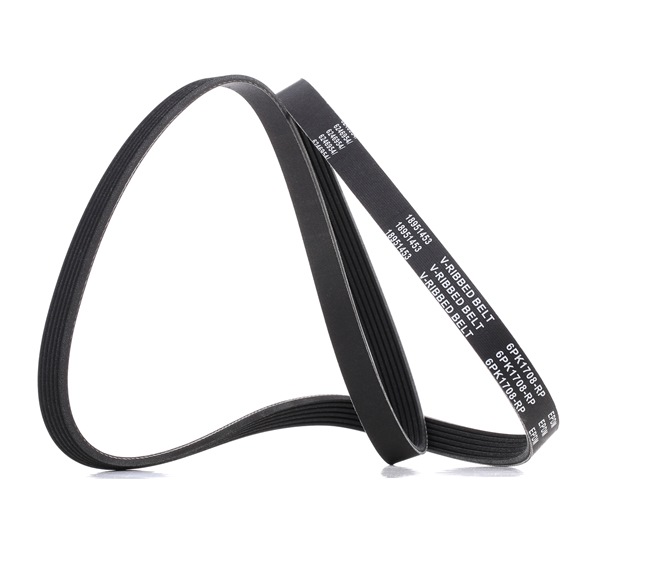 V-Ribbed Belt RIDEX 305P0082P 305P0082P - photo 1