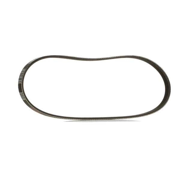 V-Ribbed Belt RIDEX 305P0479P 305P0479P - photo 1