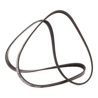 V-Ribbed Belt RIDEX 305P0041P 305P0041P - photo 3