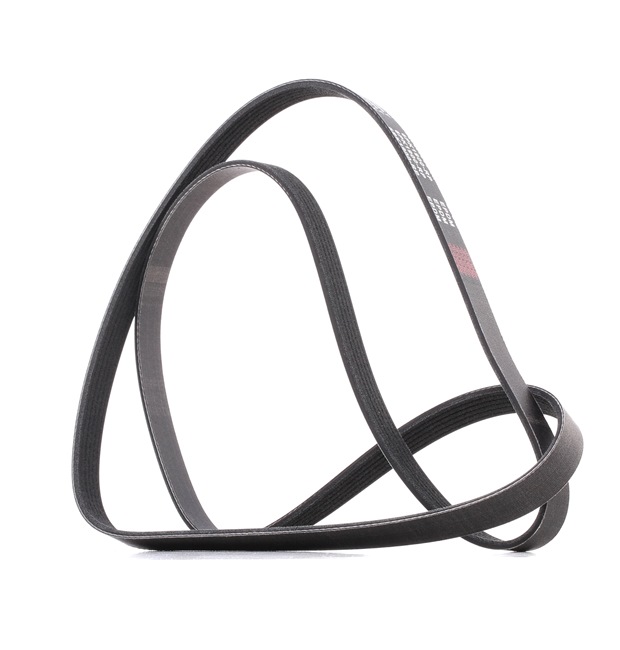 V-Ribbed Belt RIDEX 305P0110P 305P0110P - photo 1