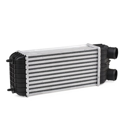 Intercooler, Charger RIDEX 468I0139 468I0139 - photo 3