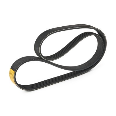 V-Ribbed Belt RIDEX 305P0551 305P0551 - photo 2