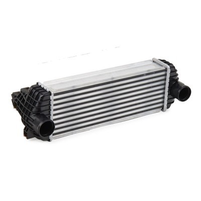 Intercooler, Charger RIDEX 468I0391 468I0391 - photo 3