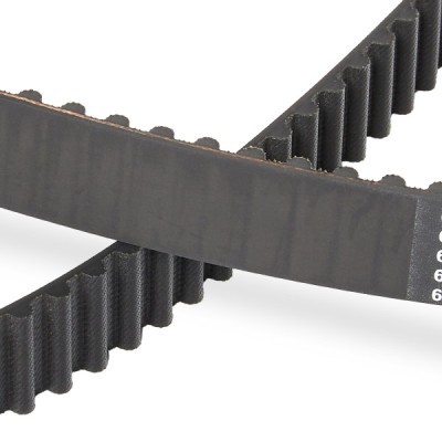 Timing Belt RIDEX 306T0064P 306T0064P - photo 5