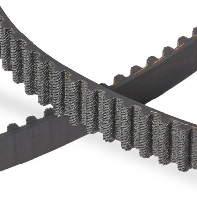 Timing Belt RIDEX 306T0031P 306T0031P - photo 5