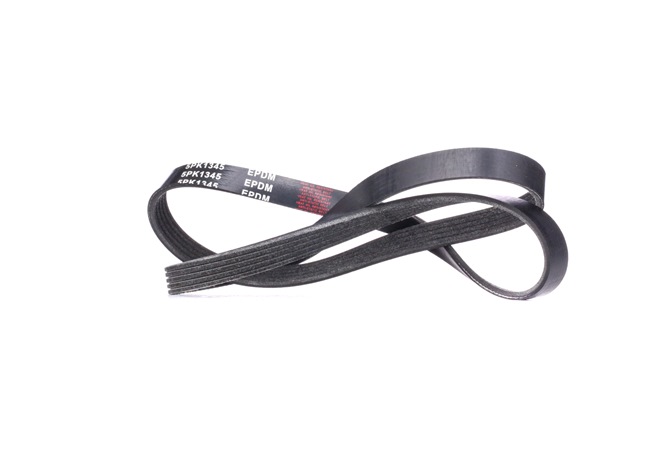 V-Ribbed Belt RIDEX 305P0174 305P0174 - photo 1