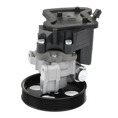 Hydraulic Pump, Steering System RIDEX 12H0046 12H0046 - photo 6