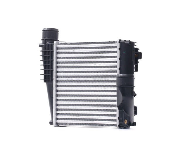 Intercooler, Charger RIDEX 468I0122 468I0122 - photo 1