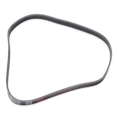 V-Ribbed Belt RIDEX 305P0122P 305P0122P - photo 4