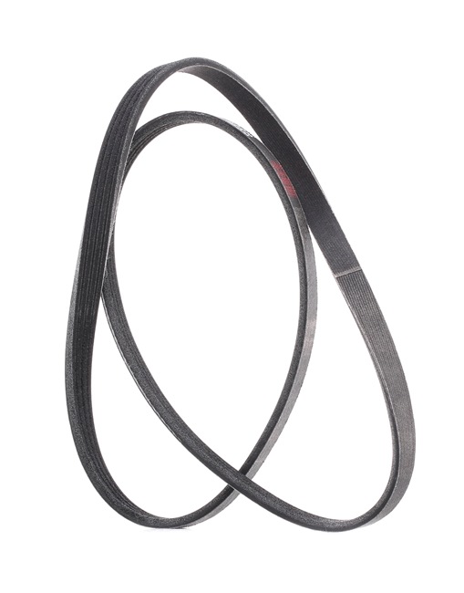 V-Ribbed Belt RIDEX 305P0154P 305P0154P - photo 1