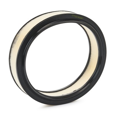 Air Filter RIDEX 8A0127 8A0127 - photo 5