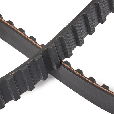 Timing Belt RIDEX 306T0373P 306T0373P - photo 5