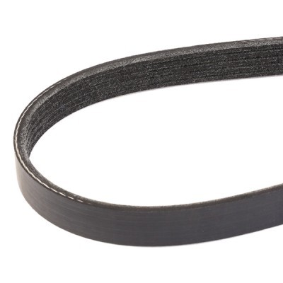 V-Ribbed Belt RIDEX 305P0251 305P0251 - photo 3