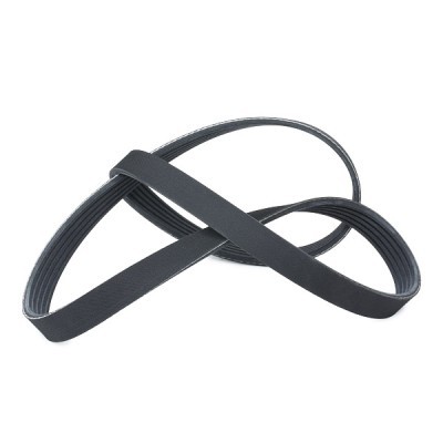 V-Ribbed Belt RIDEX 305P0032 305P0032 - photo 4
