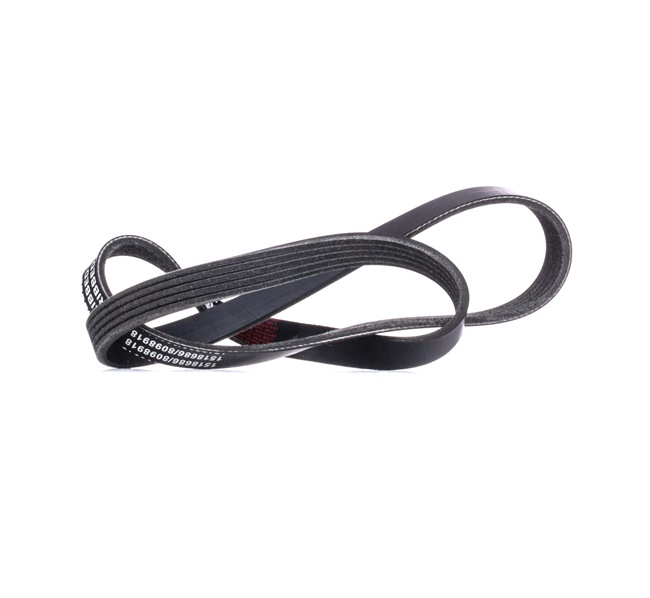 V-Ribbed Belt RIDEX 305P0164 305P0164 - photo 1