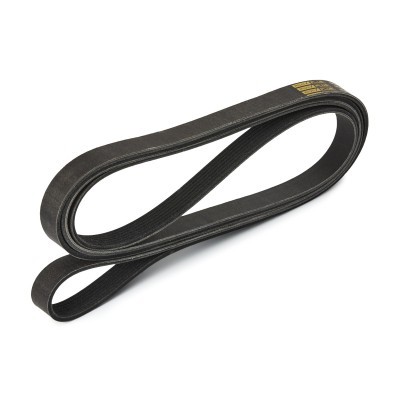 V-Ribbed Belt RIDEX 305P0481P 305P0481P - photo 3