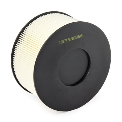 Air Filter RIDEX 8A0115 8A0115 - photo 9