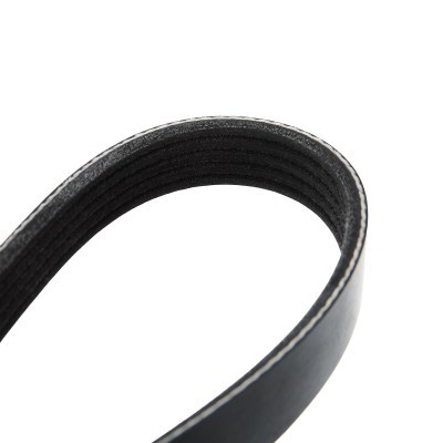 V-Ribbed Belt RIDEX 305P0249 305P0249 - photo 5
