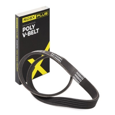 V-Ribbed Belt RIDEX 305P0117P 305P0117P - photo 2