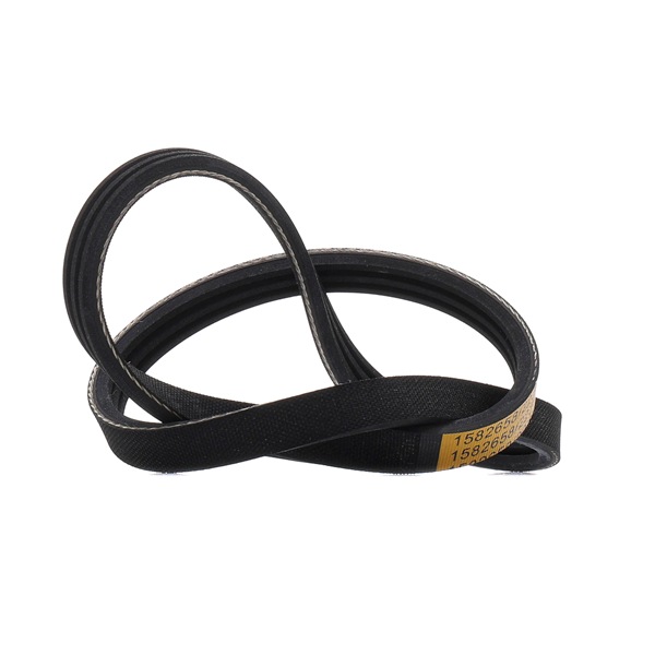 V-Ribbed Belt RIDEX 305P0686 305P0686 - photo 1