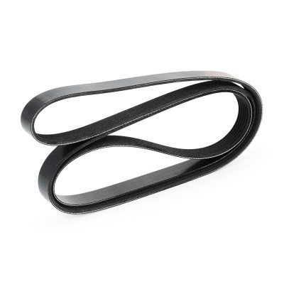 V-Ribbed Belt RIDEX 305P0150 305P0150 - photo 4