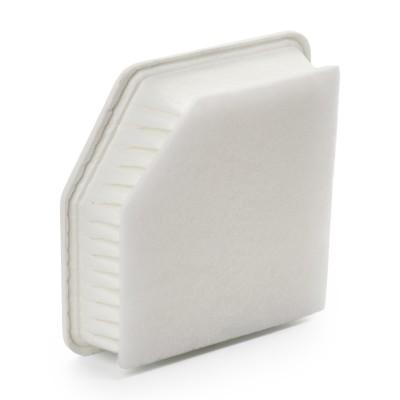 Air Filter RIDEX 8A0163 8A0163 - photo 9