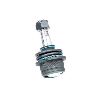 Ball Joint RIDEX 2462S0097 2462S0097 - photo 4